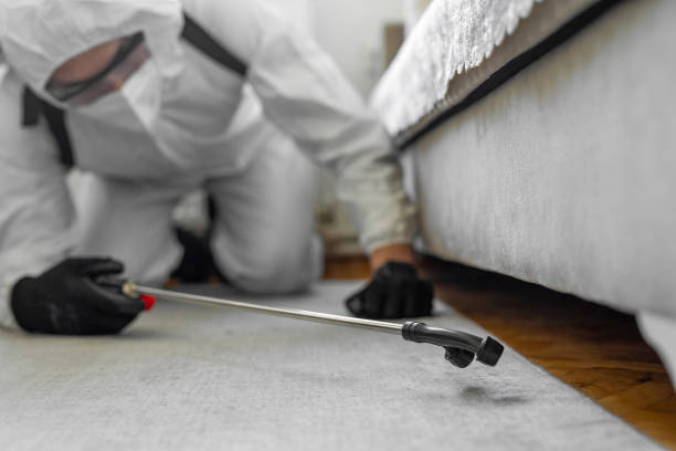 Professional Pest Control technician working in Dunkirk, MD